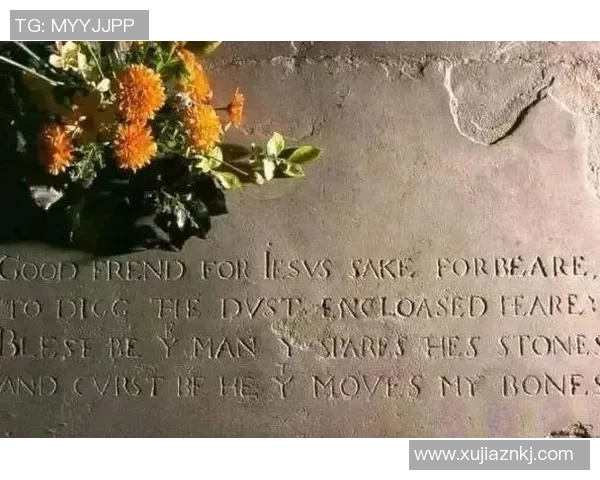 亚当斯的传奇人生与伟大成就探秘之旅